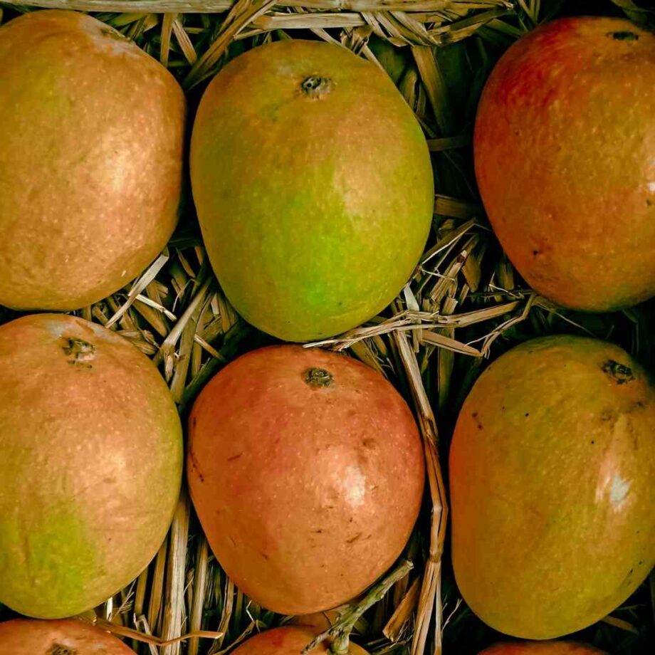 Frozen Alphonso Mango