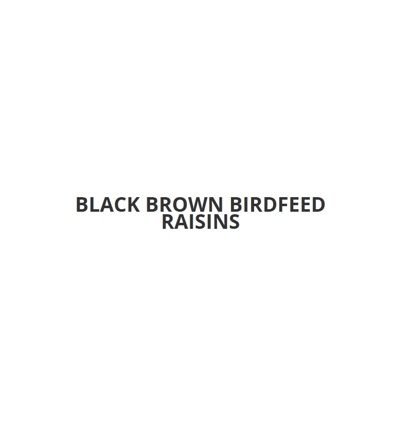 Black brown Birdfeed Raisins