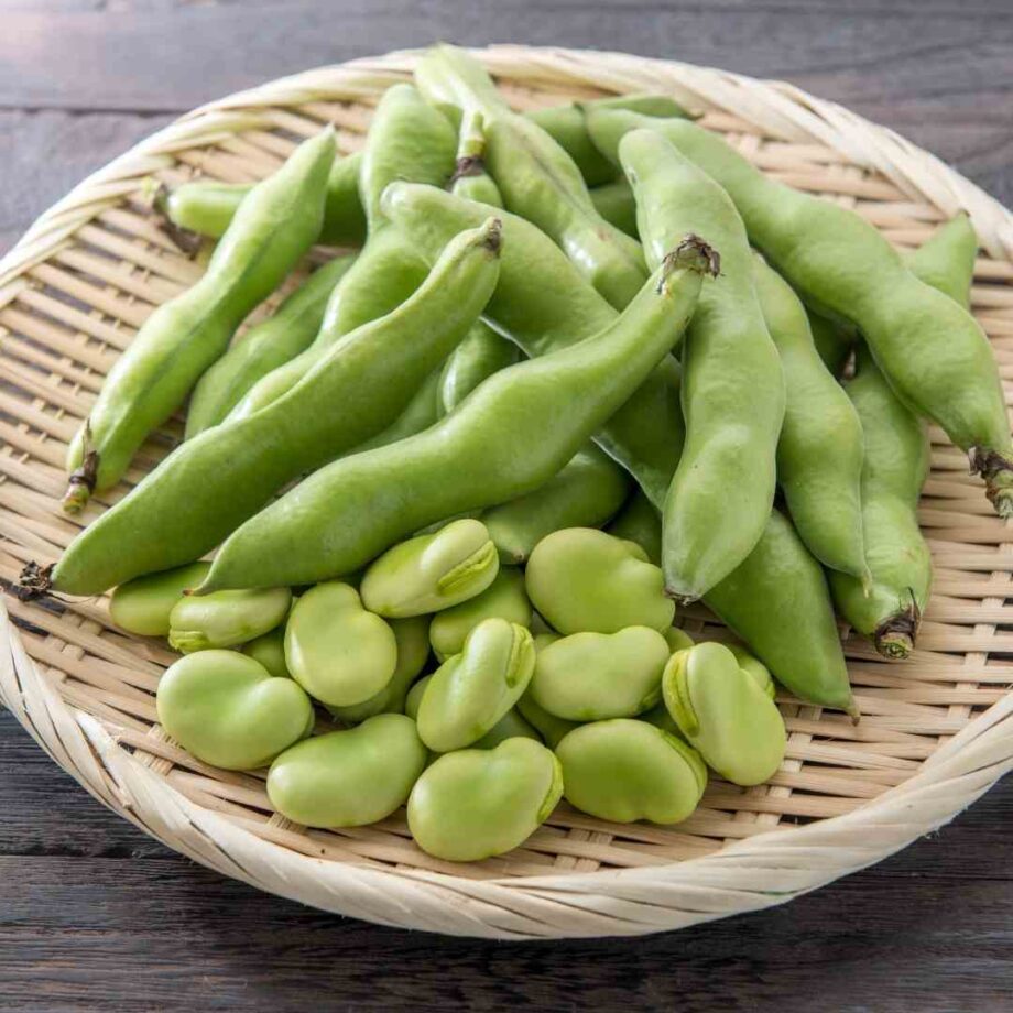 Frozen Broad Bean