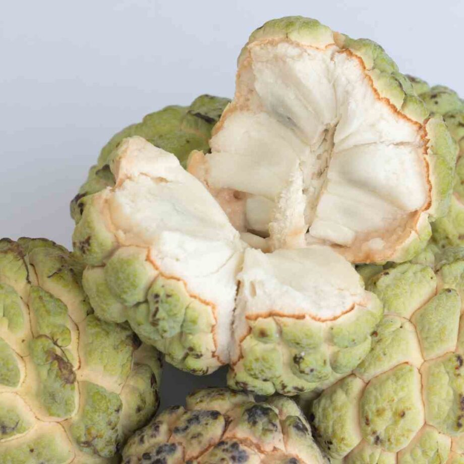 Custard Pulp