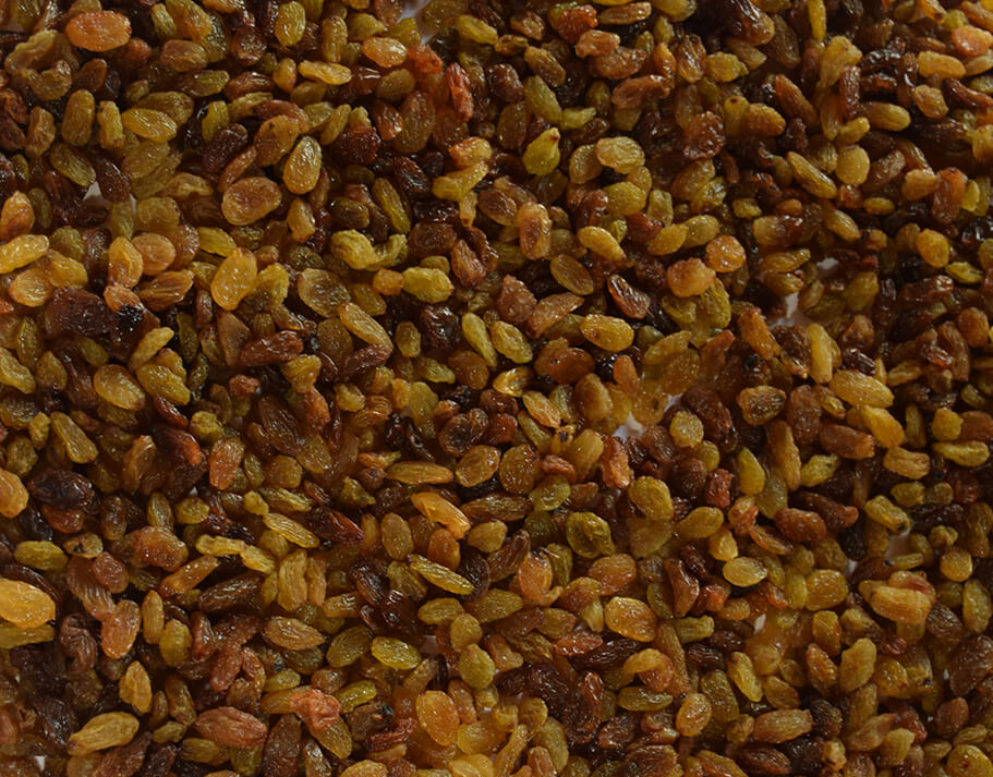 Malayar Raisins AA