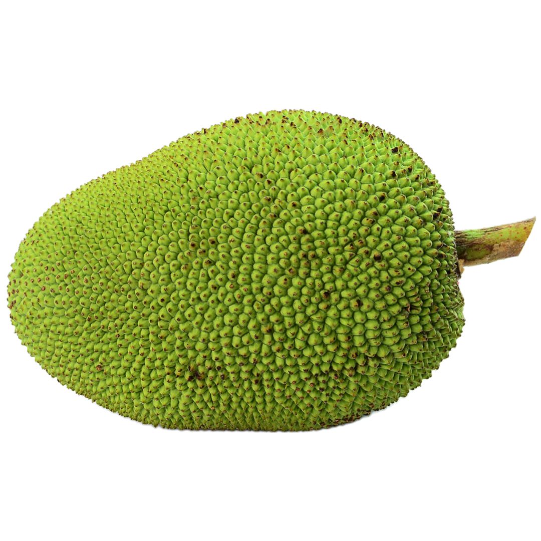 Indian Fresh Jackfruit